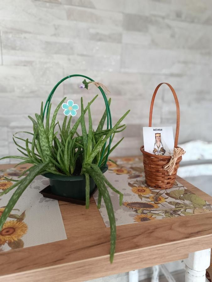 Cozy, Nice & Quiet Apartment Lucky Sarajevo - Free Public Parking المظهر الخارجي الصورة