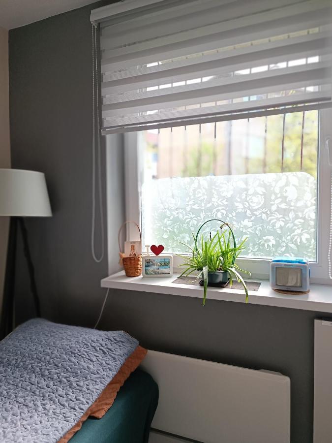 Cozy, Nice & Quiet Apartment Lucky Sarajevo - Free Public Parking المظهر الخارجي الصورة